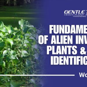 Fundamentals of Alien Invasive Plants & Their Identification