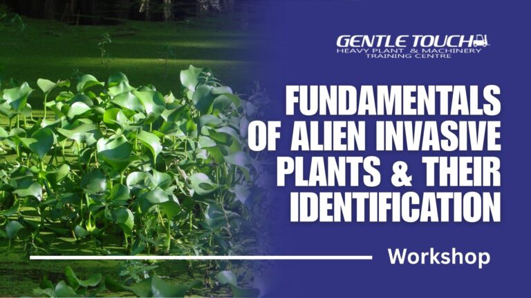 HELPING ALL BUSINESS SHINE (17)